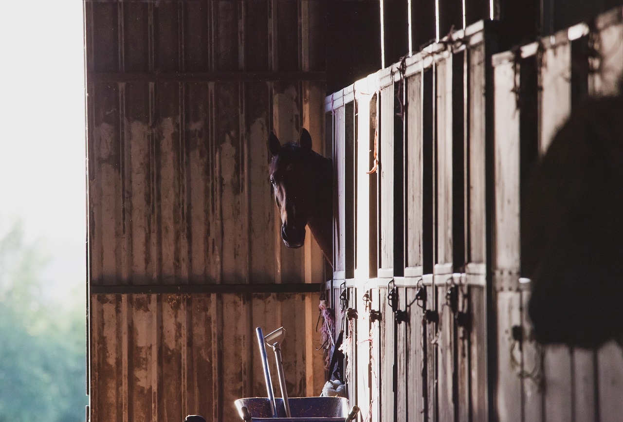 StableSafe